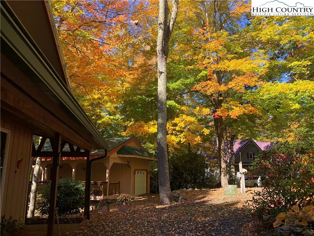 Image number 1 for the current listing