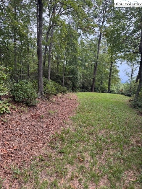 Image number 1 for the current listing