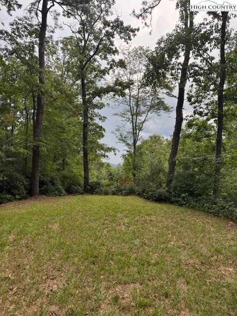 Image number 3 for the current listing
