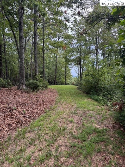 Image number 4 for the current listing