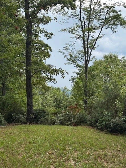 Image number 5 for the current listing