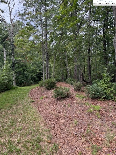 Image number 6 for the current listing