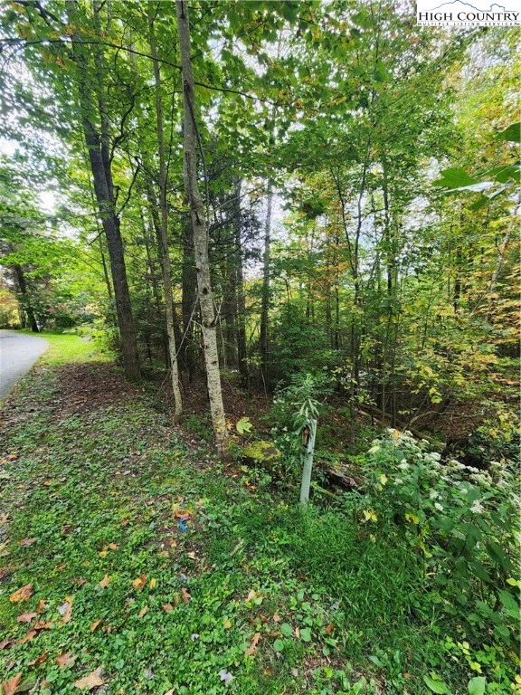 Image number 1 for the current listing
