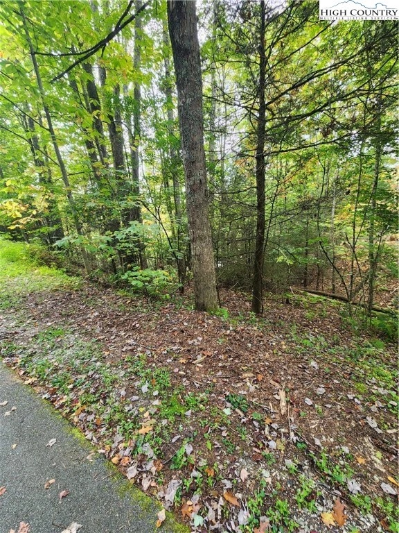 Image number 3 for the current listing