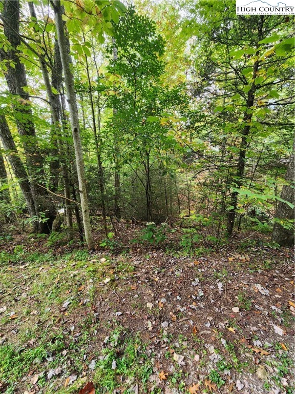 Image number 4 for the current listing