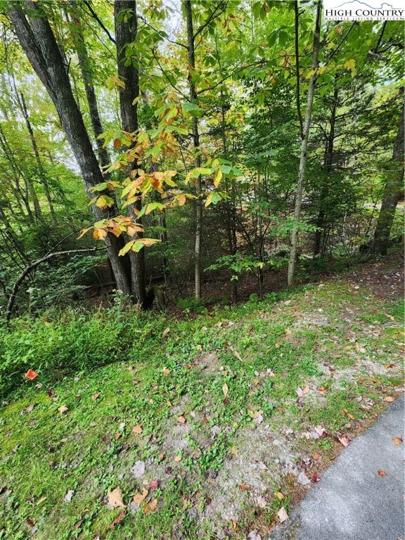 Image number 5 for the current listing