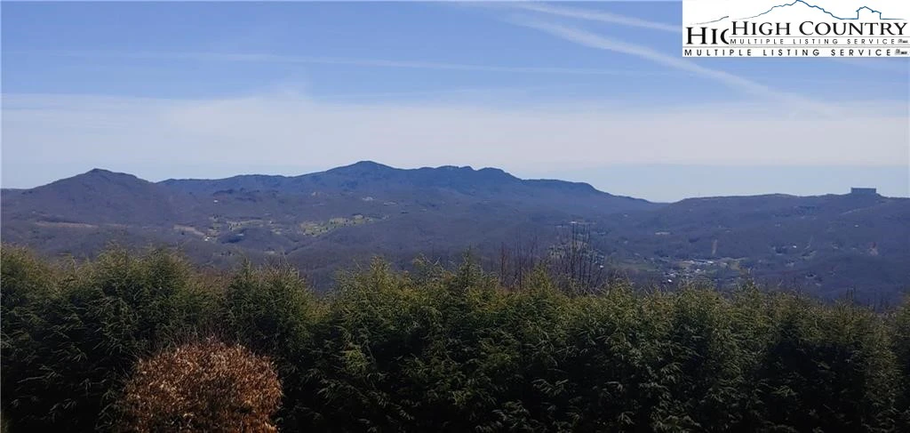Image number 1 for the current listing