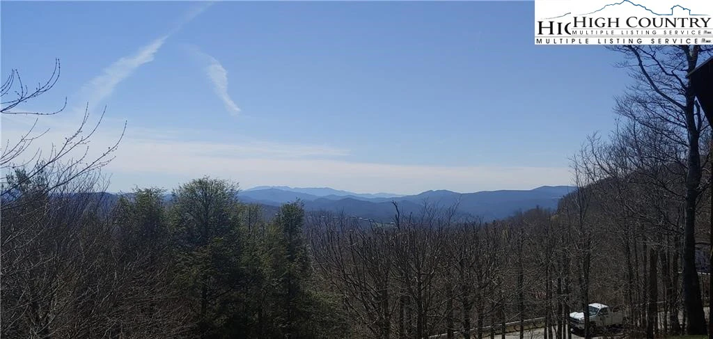 Image number 2 for the current listing