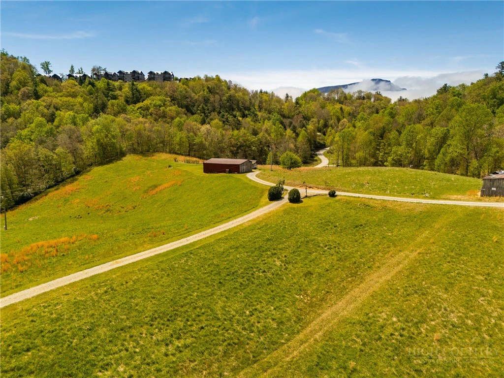 Image number 1 for the current listing