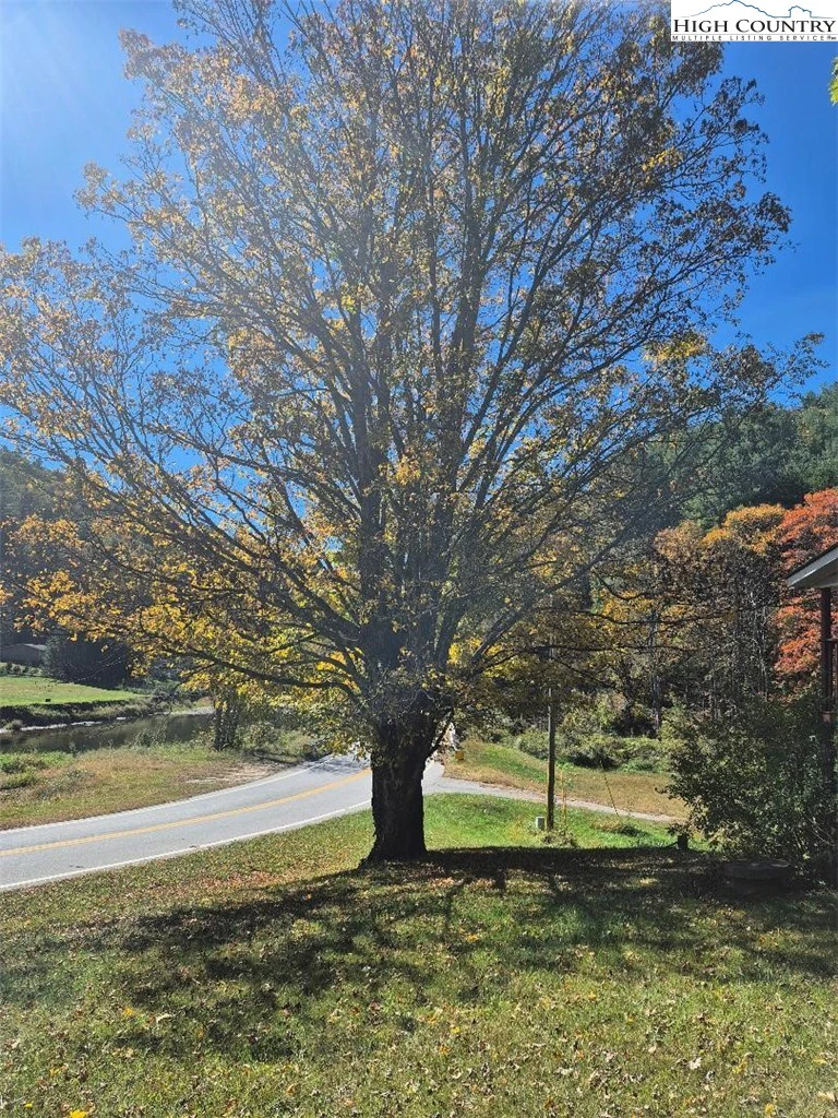 Image number 17 for the current listing