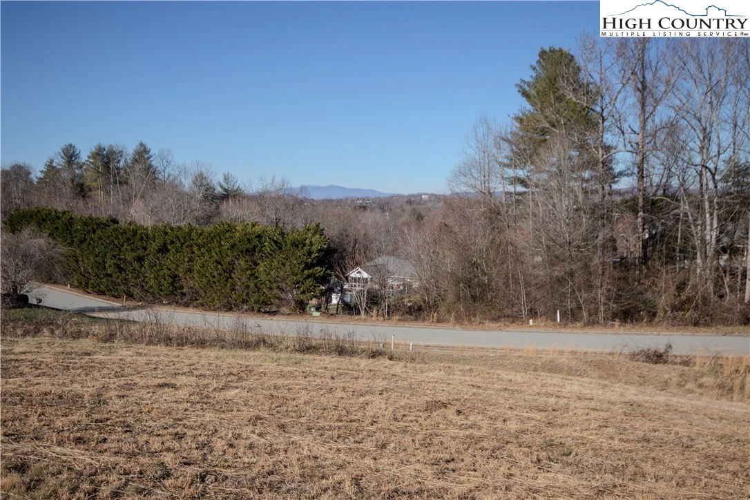Image number 3 for the current listing