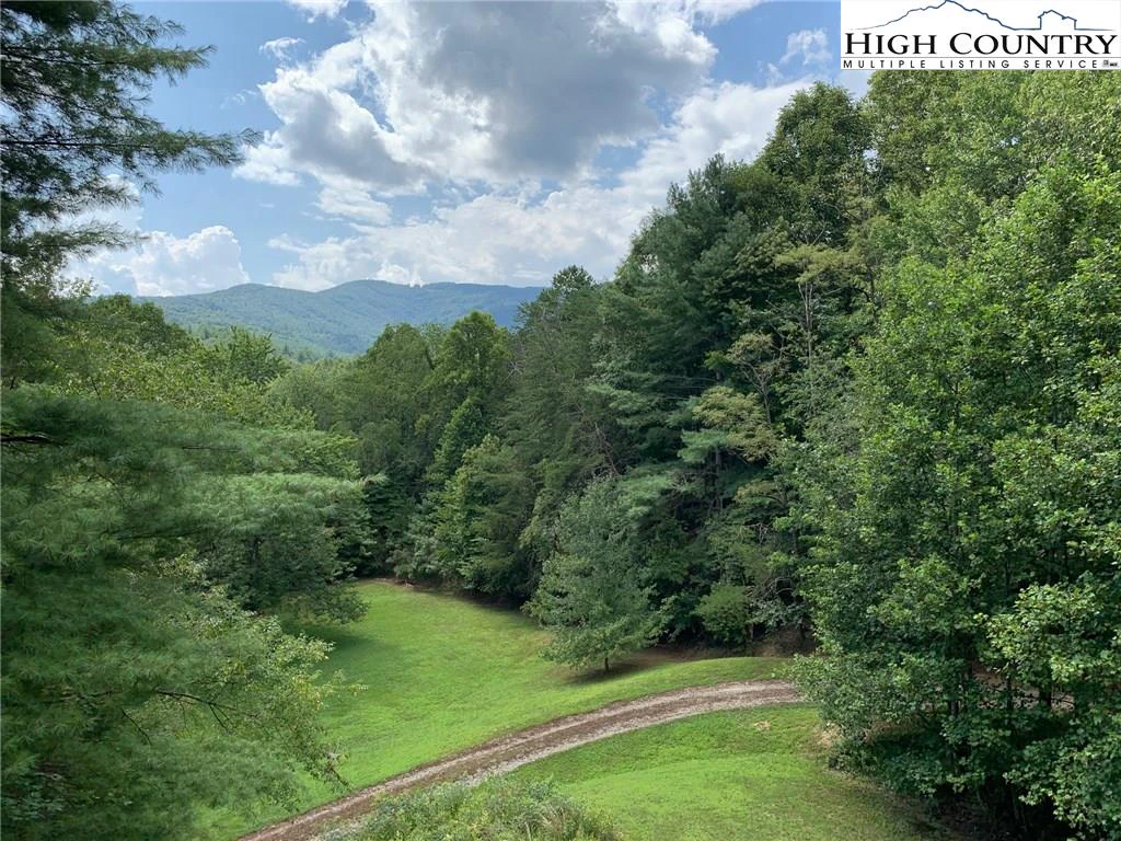 Image number 3 for the current listing