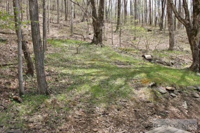 Image number 12 for the current listing