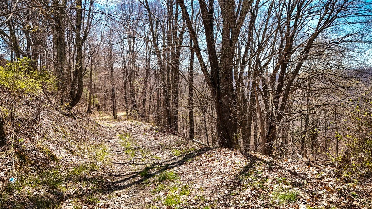 Image number 3 for the current listing