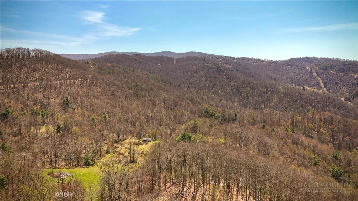Image number 6 for the current listing