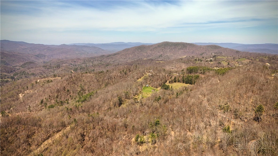 Image number 11 for the current listing