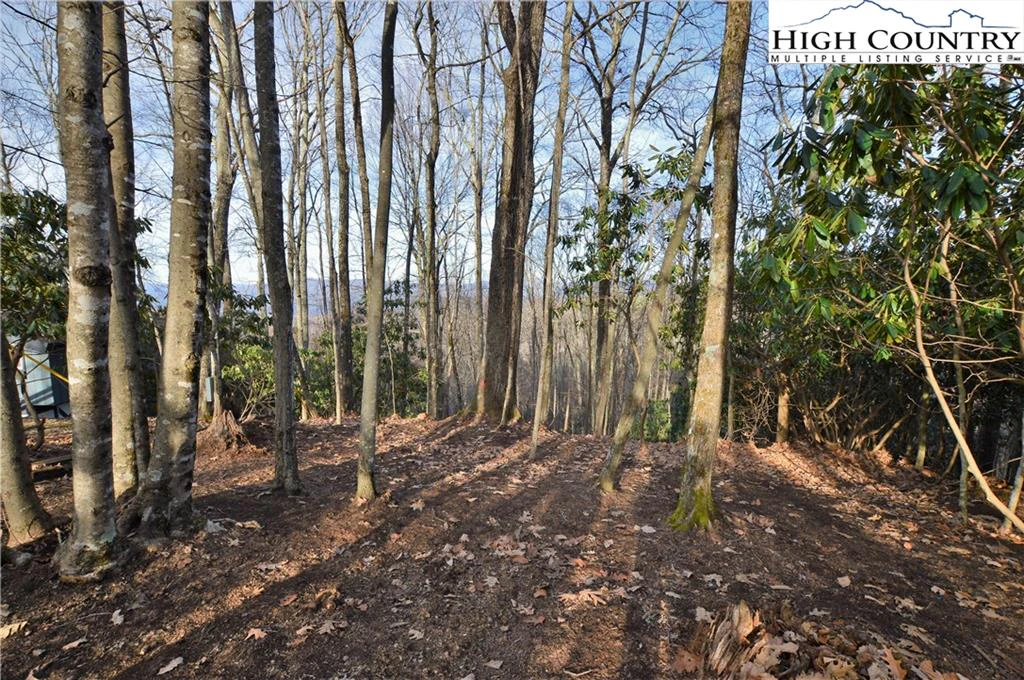 Image number 5 for the current listing