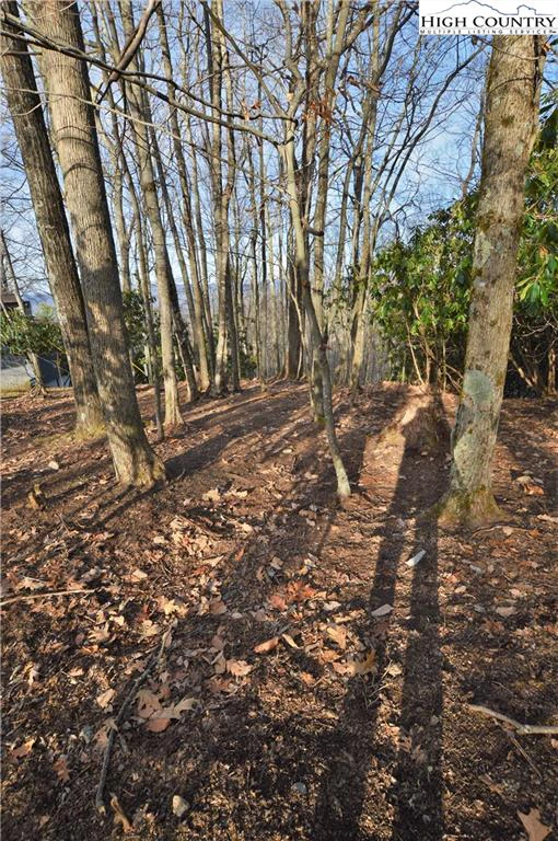 Image number 7 for the current listing