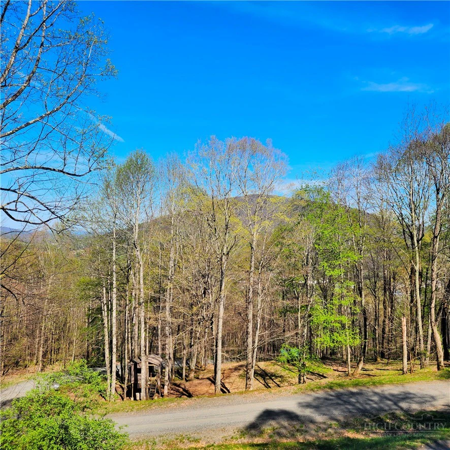 Image number 2 for the current listing