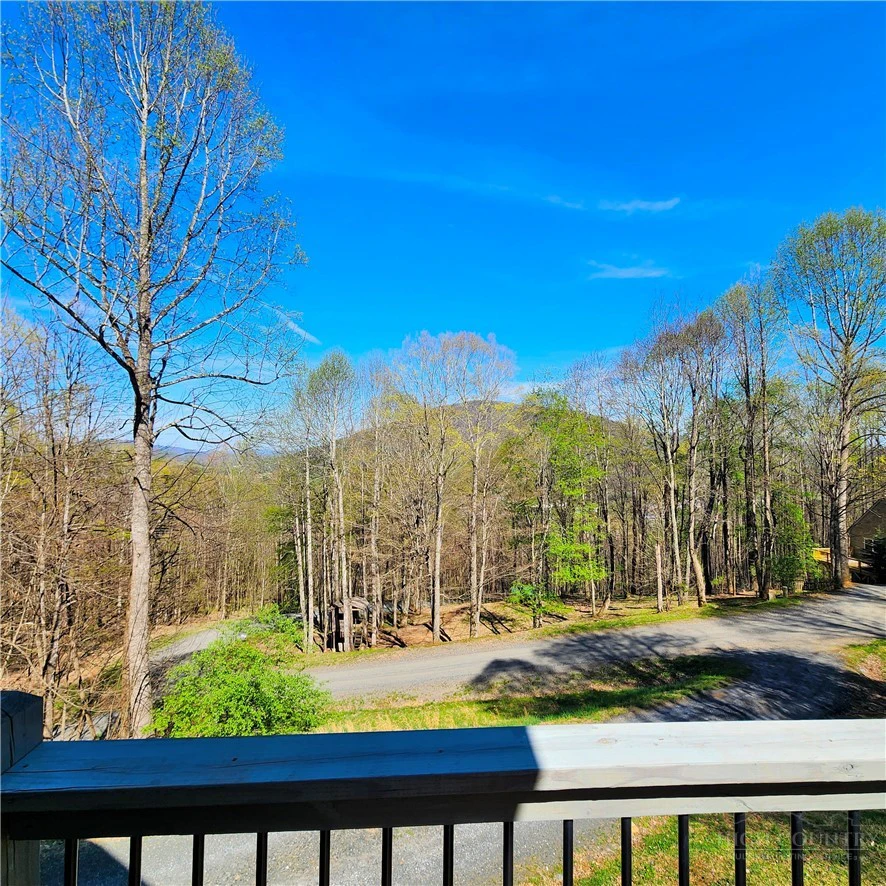 Image number 3 for the current listing