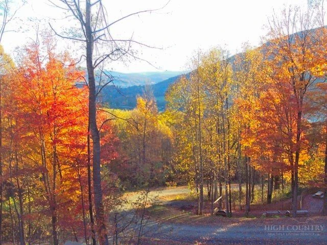 Image number 37 for the current listing
