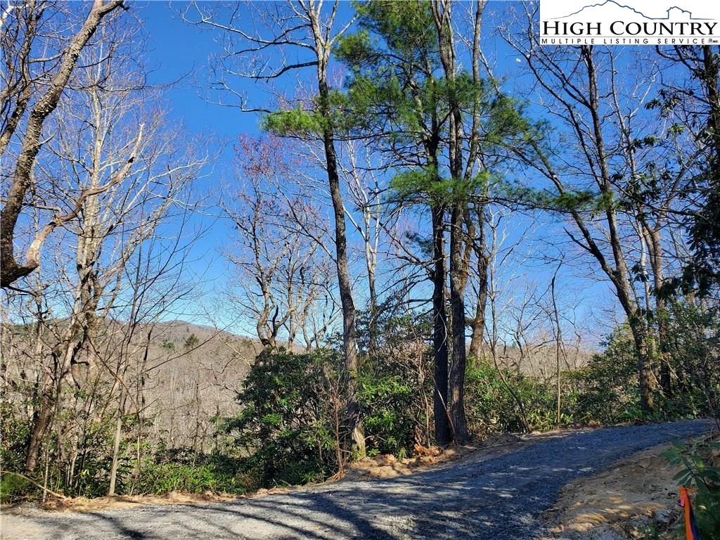 Image number 1 for the current listing