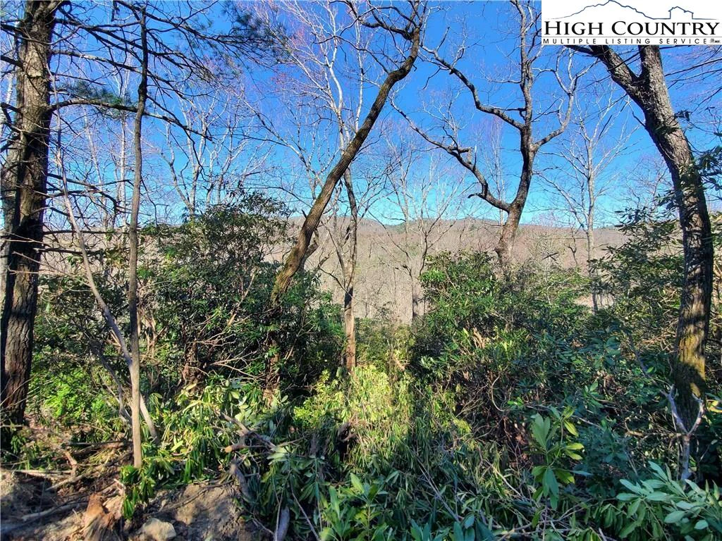 Image number 3 for the current listing