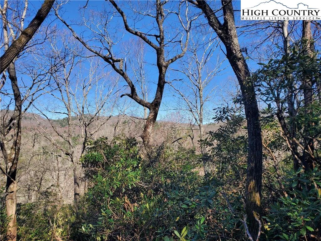 Image number 4 for the current listing