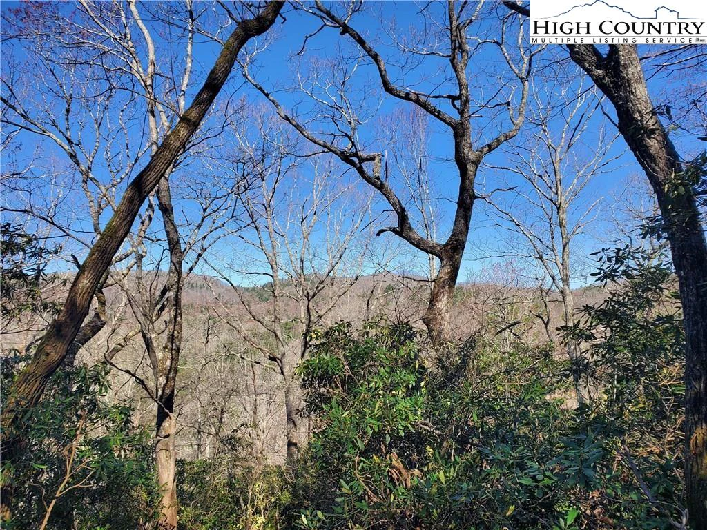 Image number 6 for the current listing