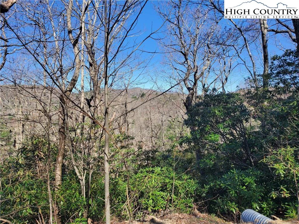 Image number 9 for the current listing