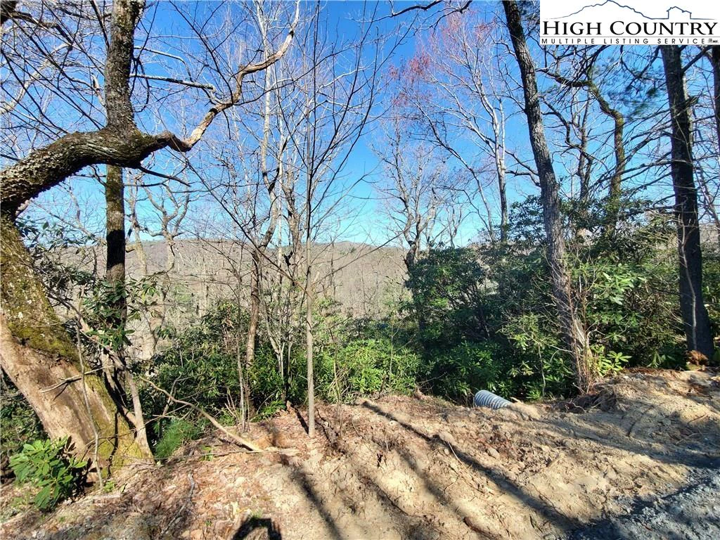 Image number 10 for the current listing