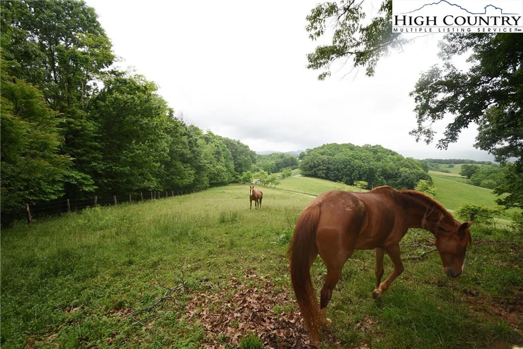 Image number 19 for the current listing
