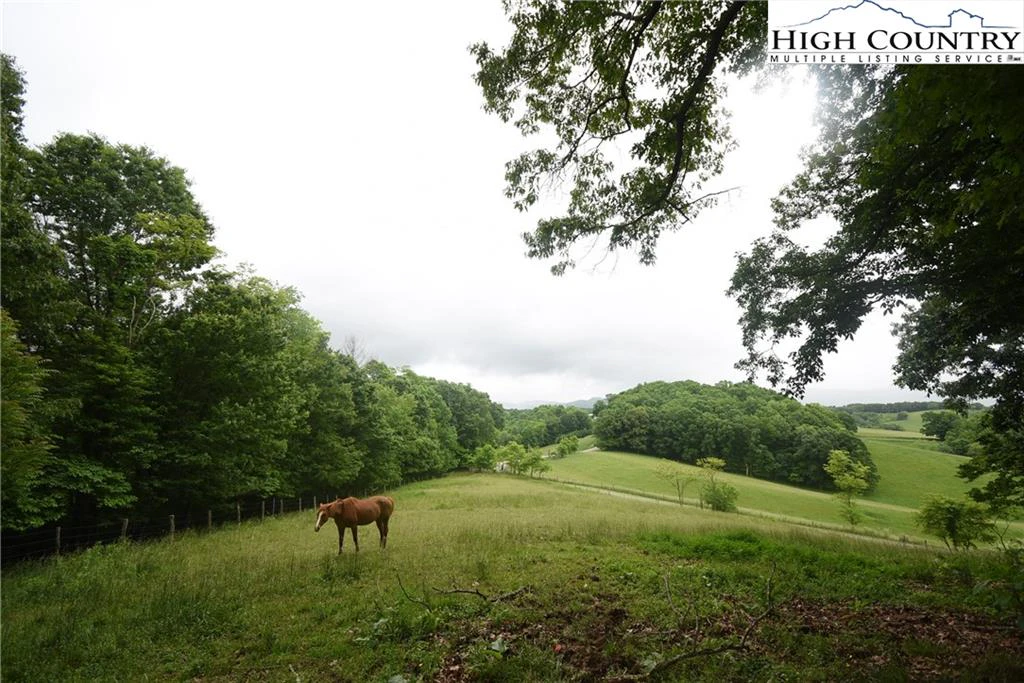 Image number 20 for the current listing