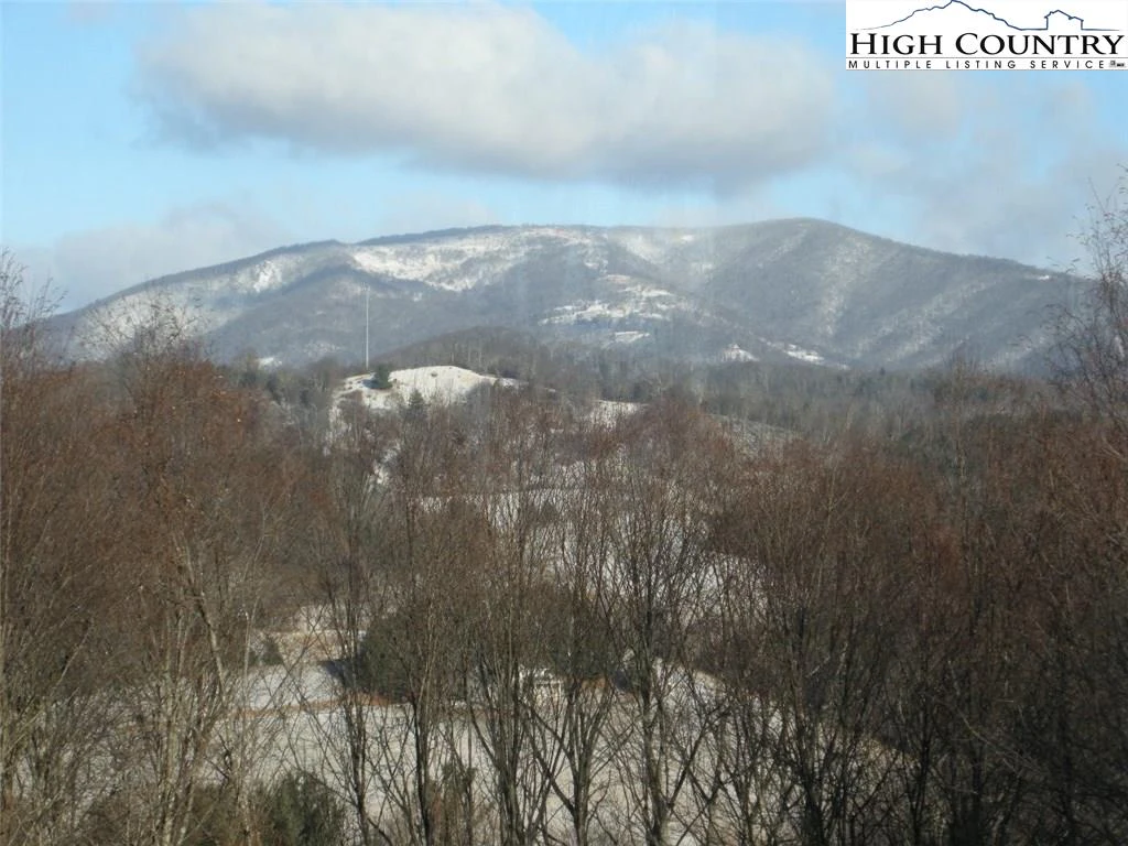 Image number 21 for the current listing