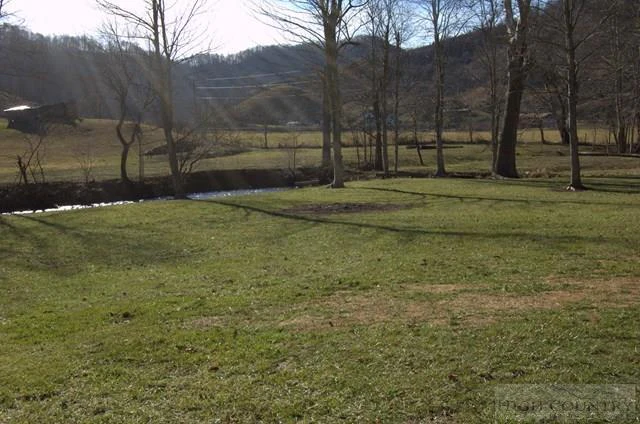 Image number 11 for the current listing
