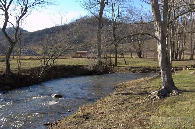 Image number 10 for the current listing