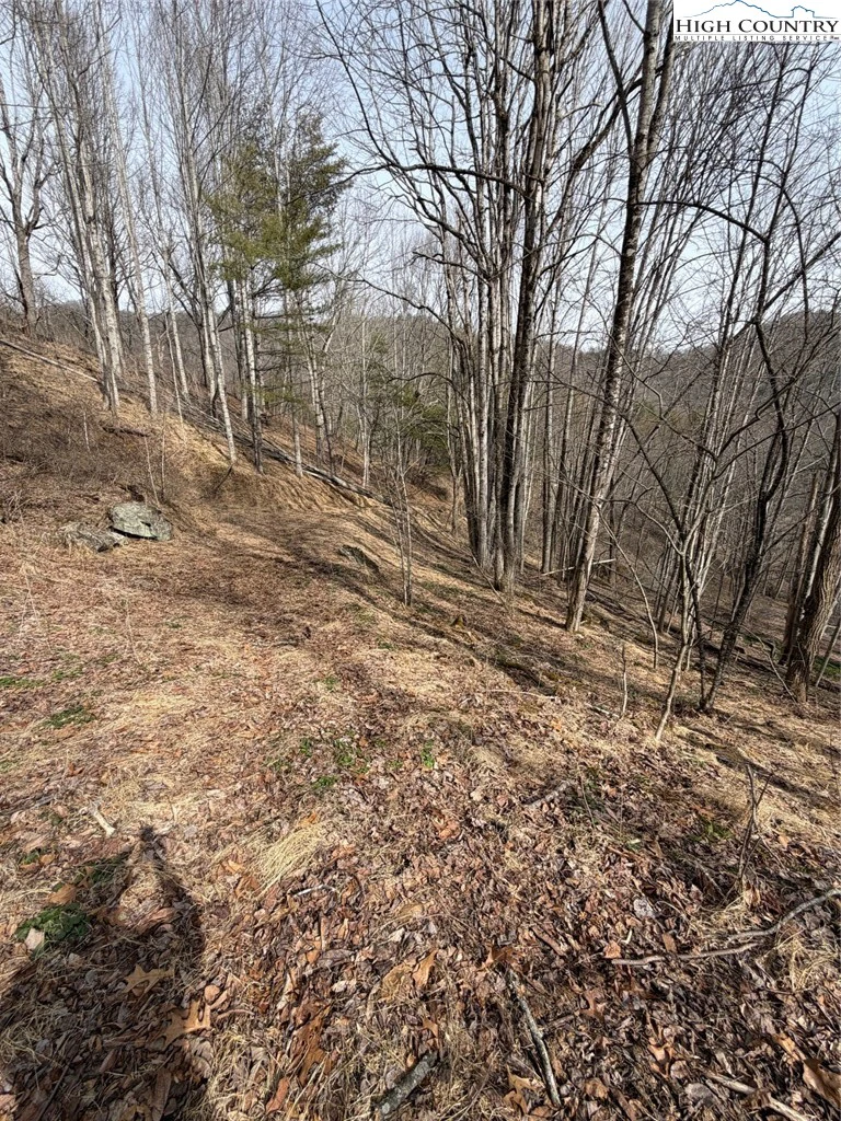 Image number 3 for the current listing