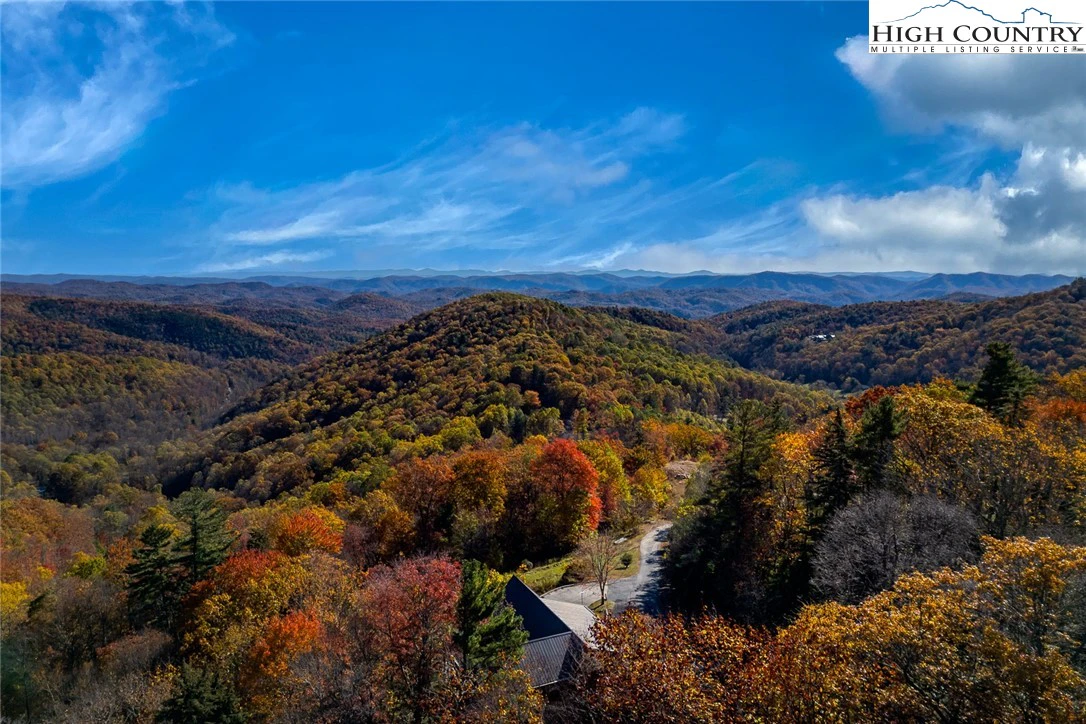 Image number 14 for the current listing