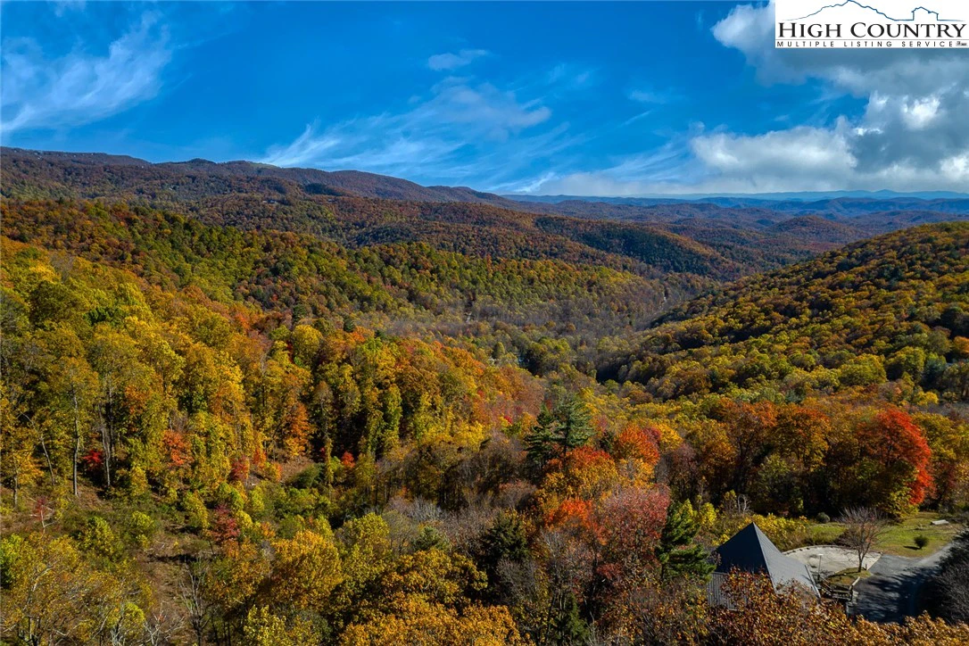 Image number 16 for the current listing