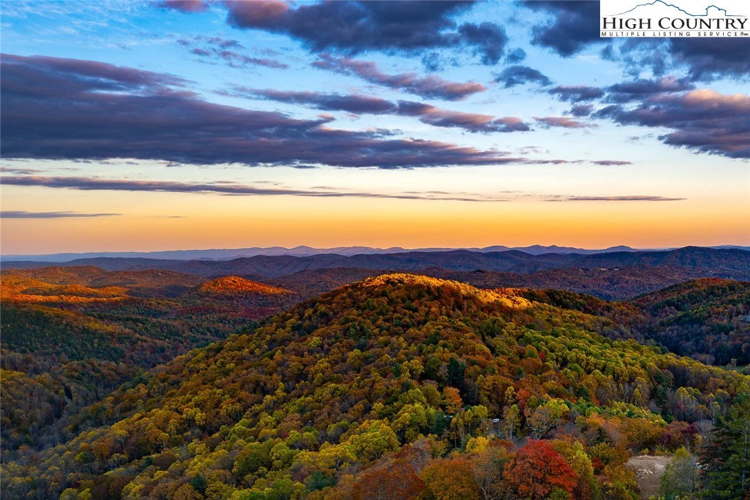 Image number 1 for the current listing