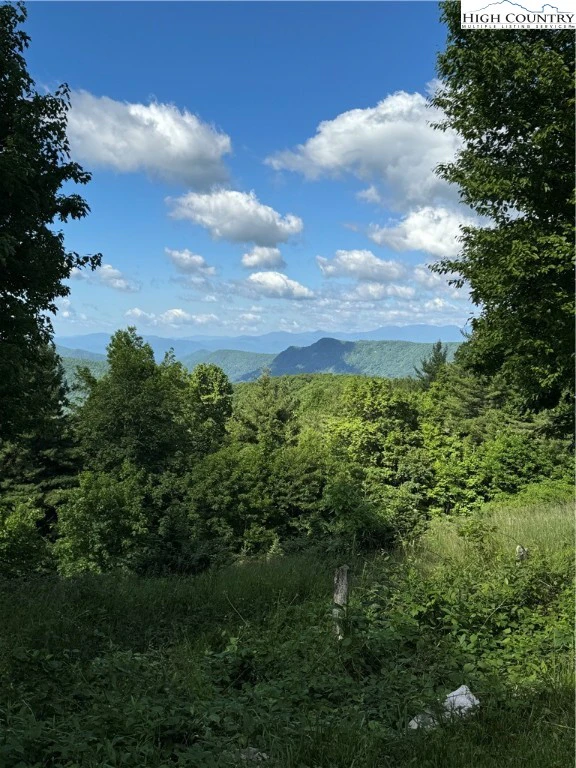 Image number 14 for the current listing