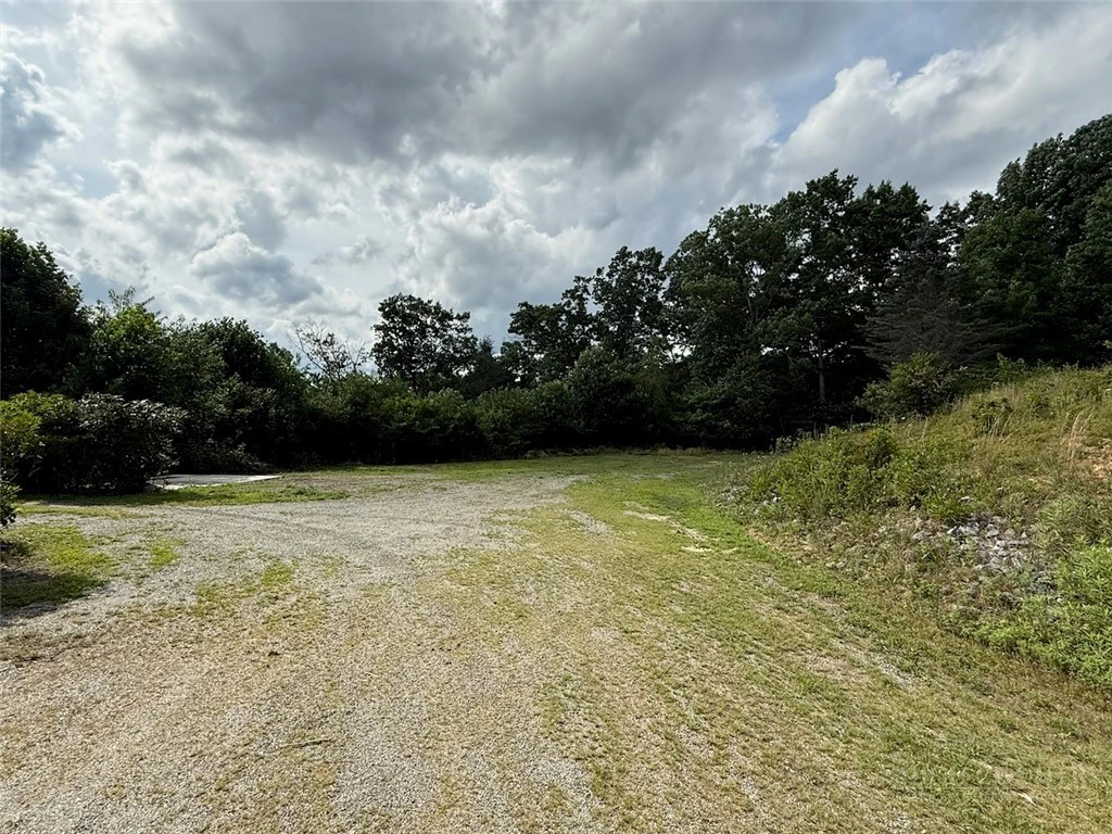 Image number 10 for the current listing