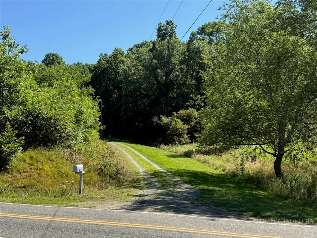 Image number 3 for the current listing
