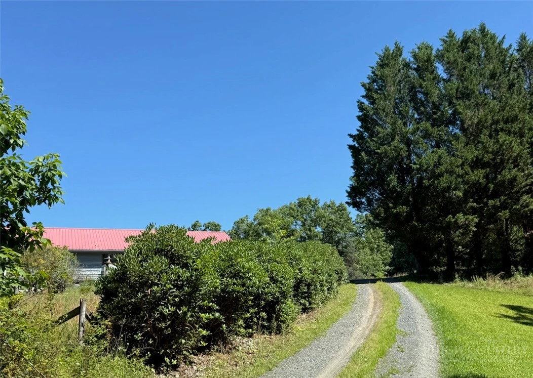 Image number 4 for the current listing