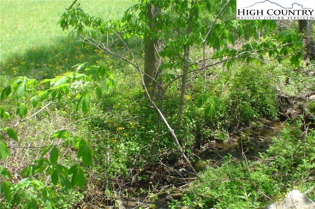 Image number 3 for the current listing
