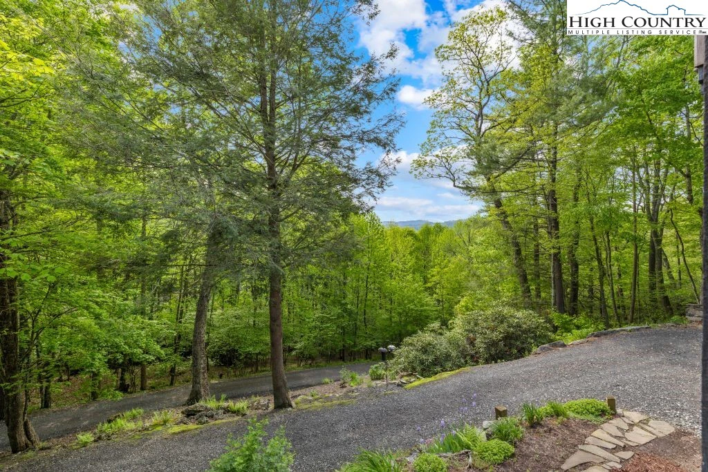 Image number 7 for the current listing