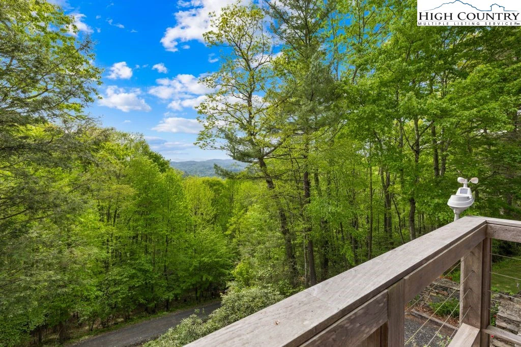 Image number 2 for the current listing