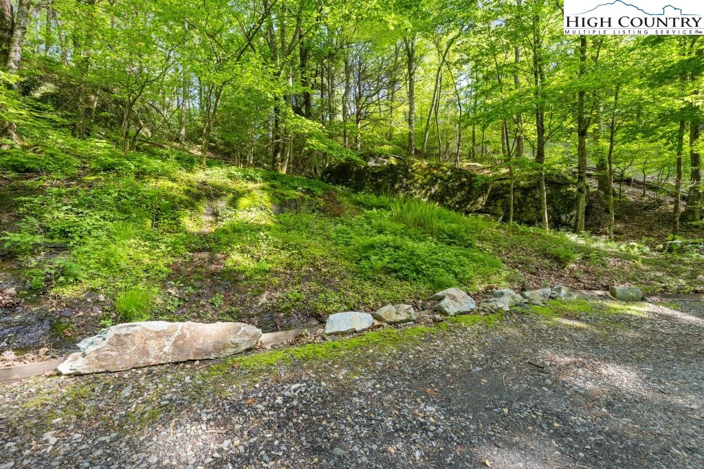 Image number 15 for the current listing