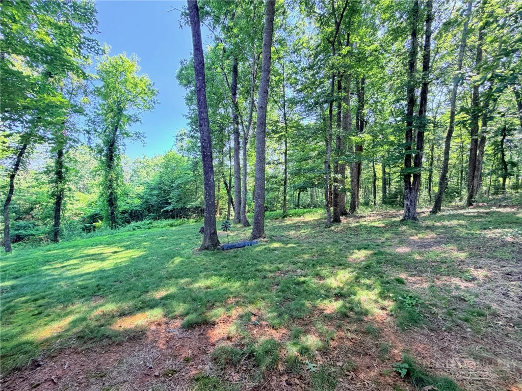 Image number 7 for the current listing