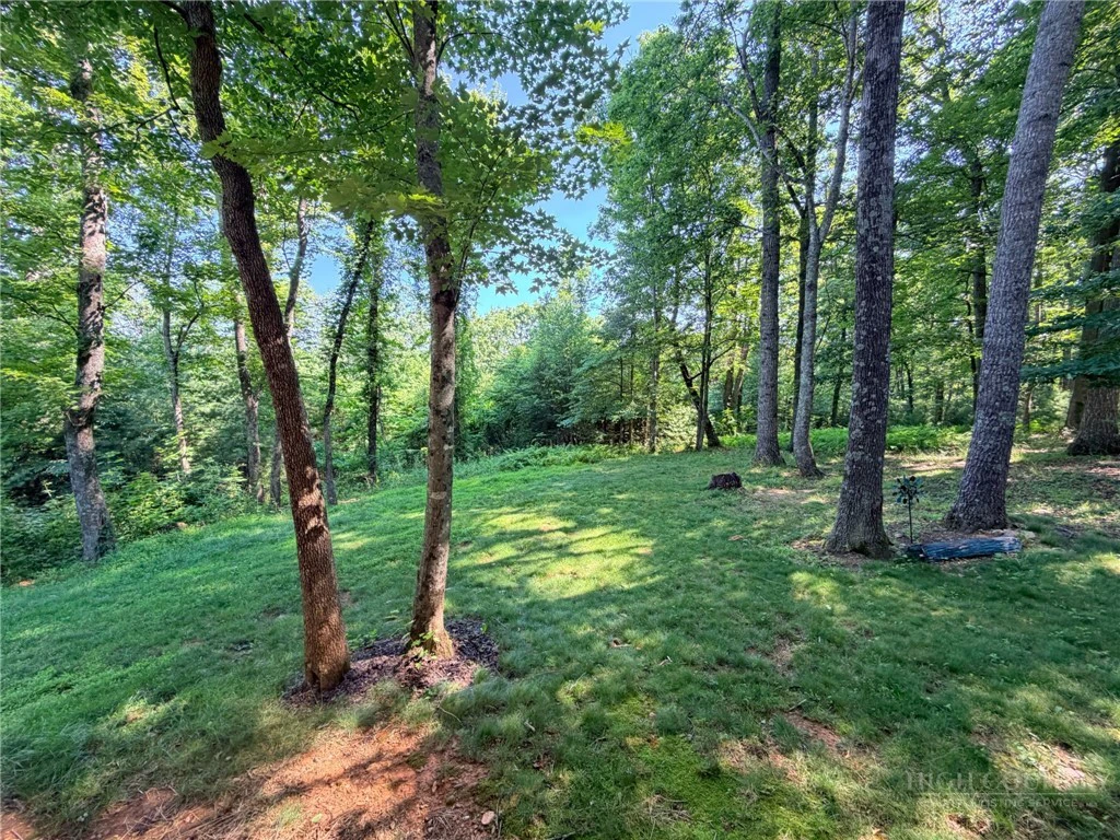 Image number 18 for the current listing